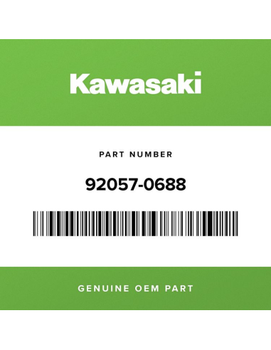 Cadena de Distribucion Kawasaki KXF 250 2017-2019