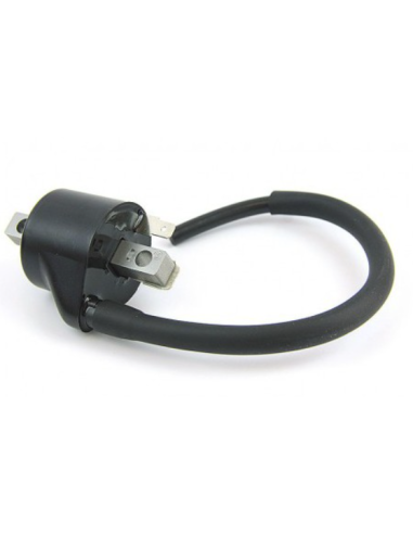 Bobina de Inducción IG5128 Original KTM +...
