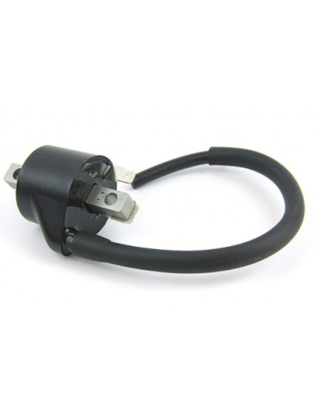 Bobina de Inducción IG5128 Original KTM + Husqvarna + GasGas