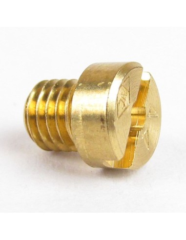 Chicle Dellorto 6mm 54