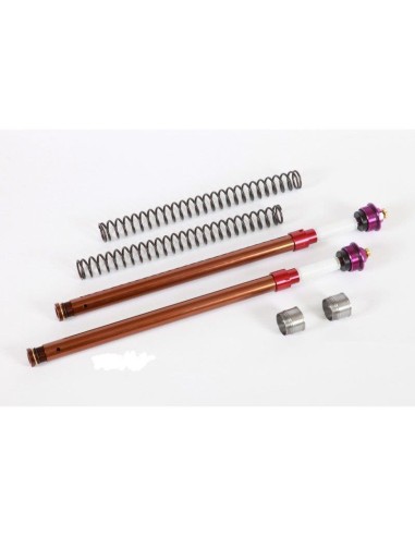 Kit Hidraulicos BUD + Muelles de Horquilla KTM...