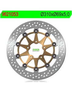 Disco de Freno NG 1053 Ø310 x Ø69 x 5 (DIS1053)