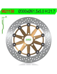 Disco de Freno NG 1138 Ø300 x Ø61 x 5 (DIS1138)
