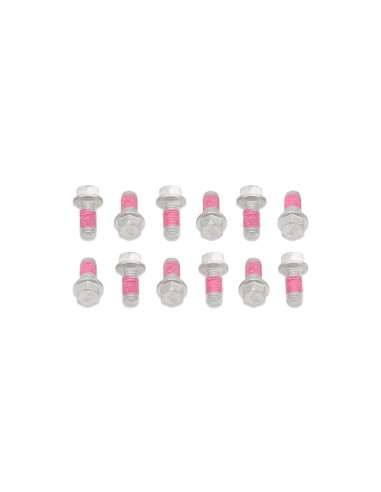 Kit Tornillos Disco de Freno KTM (12 Uds)