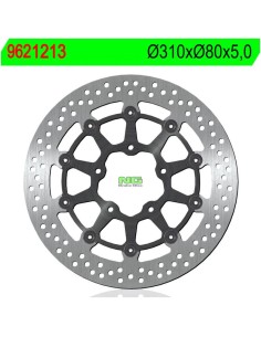 Disco de Freno NG 1213 Ø310 x Ø80 x 5 (DIS1213)
