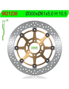 Disco de Freno NG 1236 Ø300 x Ø61 x 5 (DIS1236)