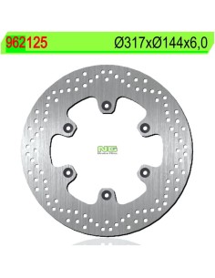 Disco de Freno NG 125 Ø317 x Ø144 x 6 (DIS125)