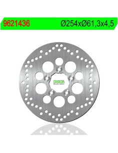 Disco de Freno NG 1436 Ø254 x Ø61.35 x 4.5 (DIS1436)