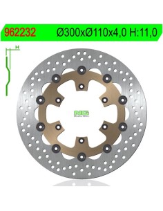 Disco de Freno NG 232 Ø300 x Ø110 x 4 (DIS232)