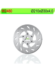 Disco de Freno NG 480 Ø210 x Ø30.6 x 4 (DIS480)