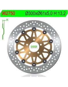 Disco de Freno NG 750 Ø300 x Ø61 x 5 (DIS750)