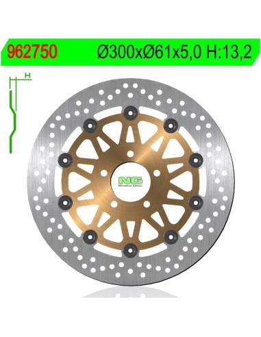 Disco de Freno NG 750 Ø300 x Ø61 x 5 (DIS750)