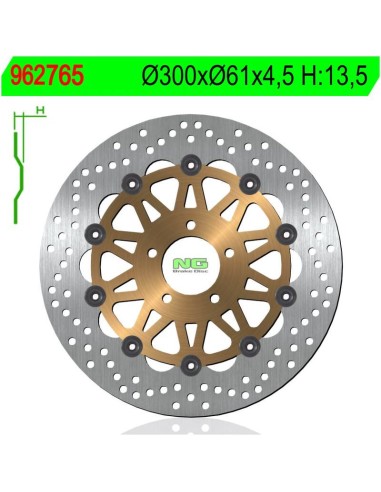 Disco de Freno NG 765 Ø300 x Ø31 x 4.5 (DIS765)