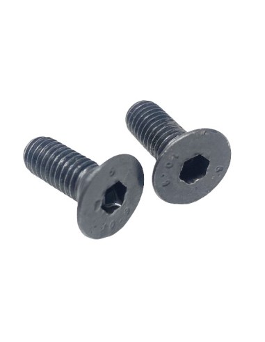 Tornillo Cabeza Avellanada ISO10642 M6 x 16 SS...
