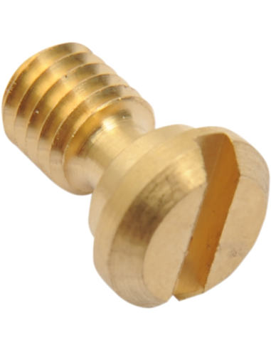 Tornillo Con Torica Purgador de Horquilla...