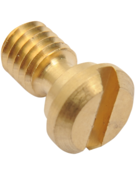 Tornillo Con Torica Purgador de Horquilla Kayaba/Showa 48mm Ø5x11