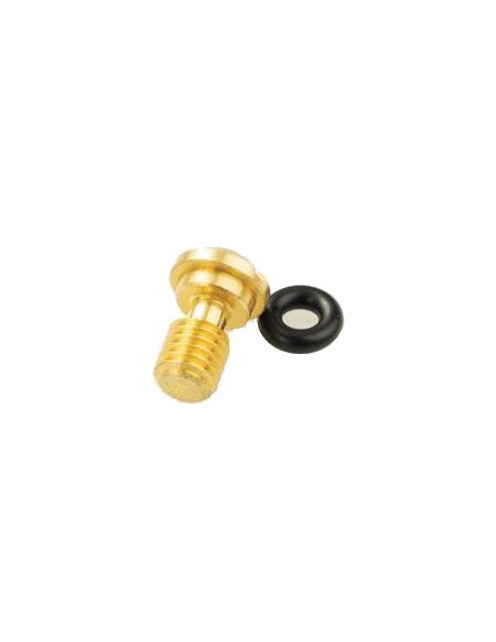 Tornillo Con Torica Purgador de Horquilla Kayaba/Showa 48mm Ø5x11