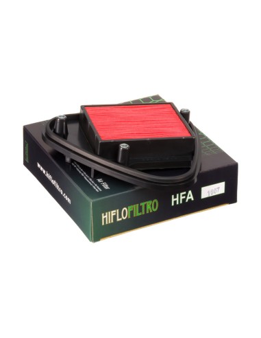 Filtro de Aire Hiflofiltro HFA1607
