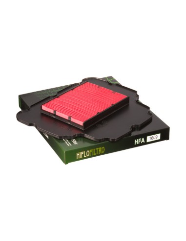 Filtro de Aire Hiflofiltro HFA1609