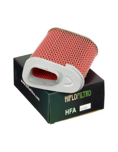 Filtro de Aire Hiflofiltro HFA1903