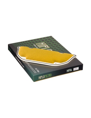 Filtro de Aire Hiflofiltro HFA2905