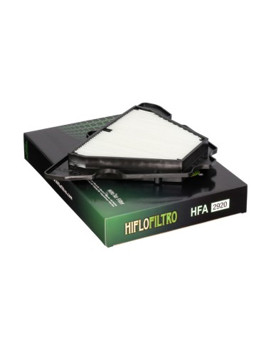 Filtro de Aire Hiflofiltro HFA2920