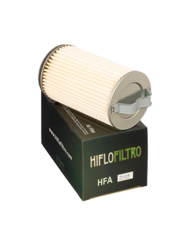 Filtro de Aire Hiflofiltro HFA3902