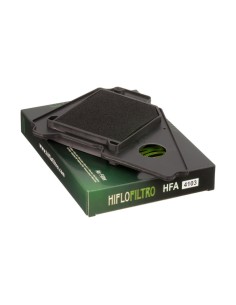 Filtro de Aire Hiflofiltro HFA4103