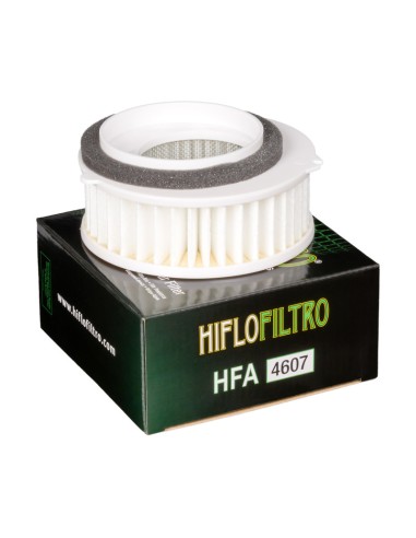 Filtro de Aire Hiflofiltro HFA4607
