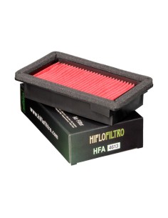 Filtro de Aire Hiflofiltro HFA4613