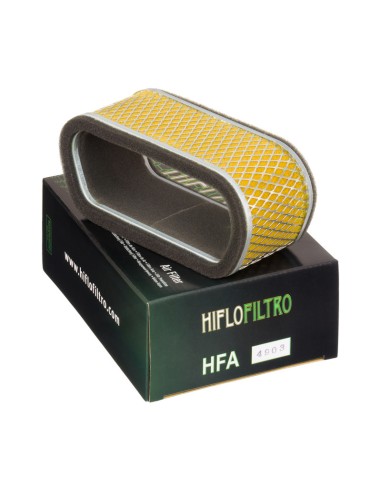 Filtro de Aire Hiflofiltro HFA4903