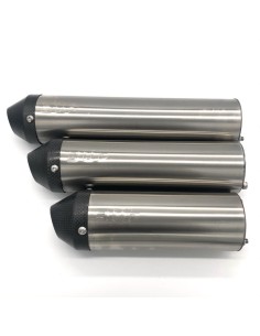 Recambio Silencioso de Aluminio Inoxidable HGS 250cc... 2