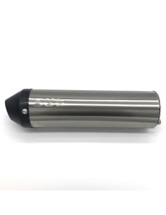 Recambio Silencioso de Aluminio Inoxidable HGS 125cc...
