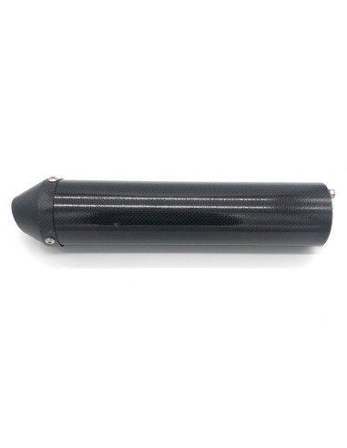 Recambio Silencioso de Carbono HGS 250cc...