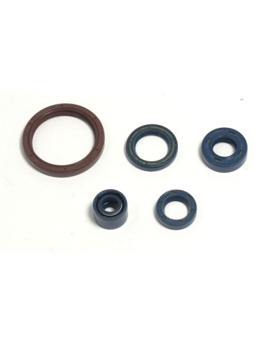 Kit Retenes de Motor Completo Husqvarna TC 250...