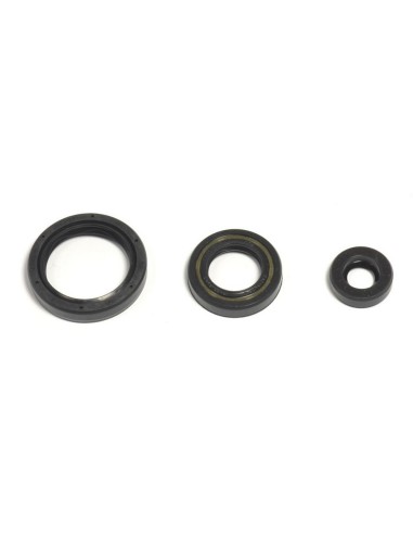 Kit Retenes de Motor Completo Husqvarna TC 250...