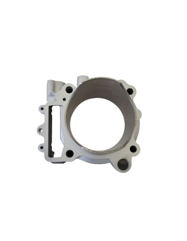 Grupo Termico Athena 490 cc 100 Ø Kawasaki KXF...