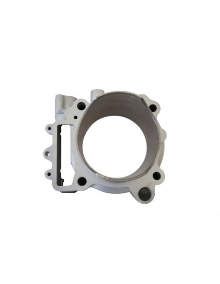 Grupo Termico Athena 490 cc 100 Ø Kawasaki KXF 450 2009-2015