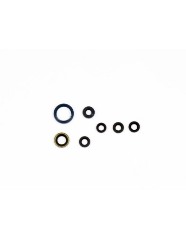 Kit Retenes de Motor Completo Kawasaki Kx-F 450...