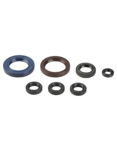 Kit Retenes de Motor Completo KTM EXC-F 250 2003-2006+450...