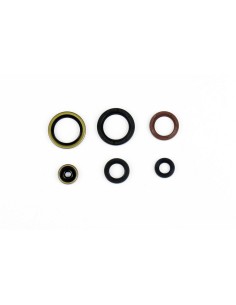 Kit Retenes de Motor Completo KTM SX 125 16-17+Hva TC 125...