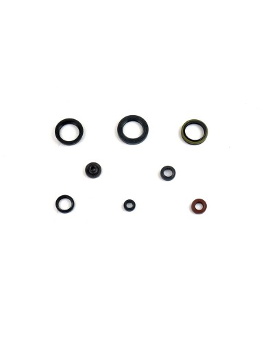Kit Retenes de Motor Completo Suzuki Rm-Z 450...