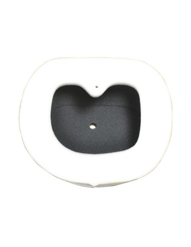 Filtro de Aire Athena Yamaha WRF 250 2003-2013...