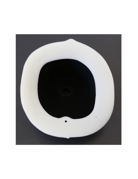 Filtro de Aire Athena Suzuki RM 125 2002-2003 + RM 250 2002