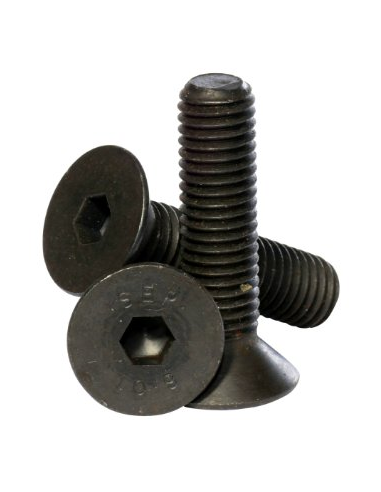 Tornillo de Cabeza Avellandada M6x16 10.9 DIN...