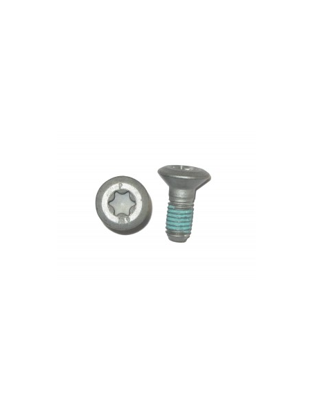 Tornillo M. Isa45 M8x20 (KTM/HVA/GG)