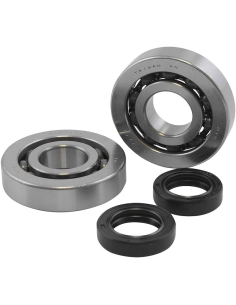 Kit Rodamientos y Retenes Cigüeñal Honda Dio SC SP ZX +...