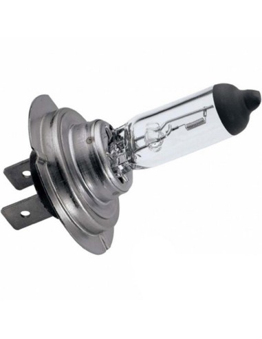 Lampara Halogena H-7 12V 55W