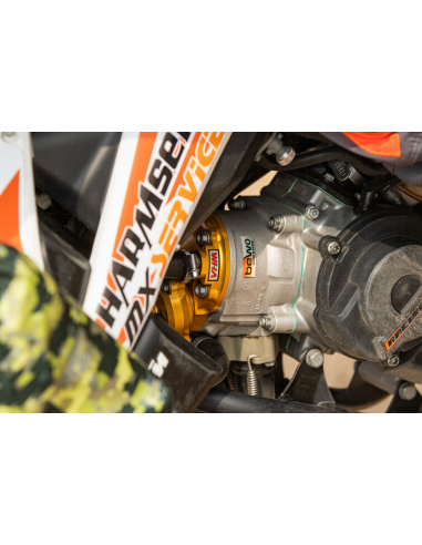 Culata Dorada VHM para KTM SX 65 2009-2023 +...