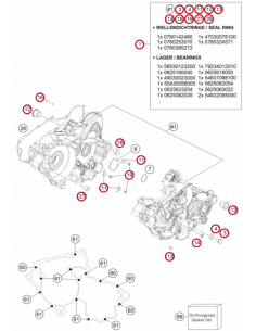 Kit Recambios Original Completo Carter Motor GasGas EC...